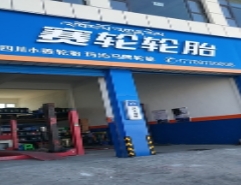 赛轮轮胎店(洛州总代理)的图标